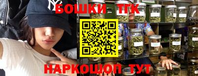 индика Рязань
