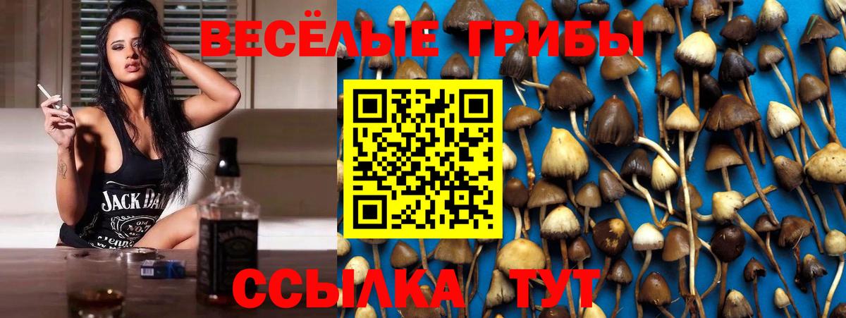 Галлюциногенные грибы Magic Shrooms  Вход с VPN  Псилоцибиновые грибы прущие грибы  цена наркотик  Прохладный 