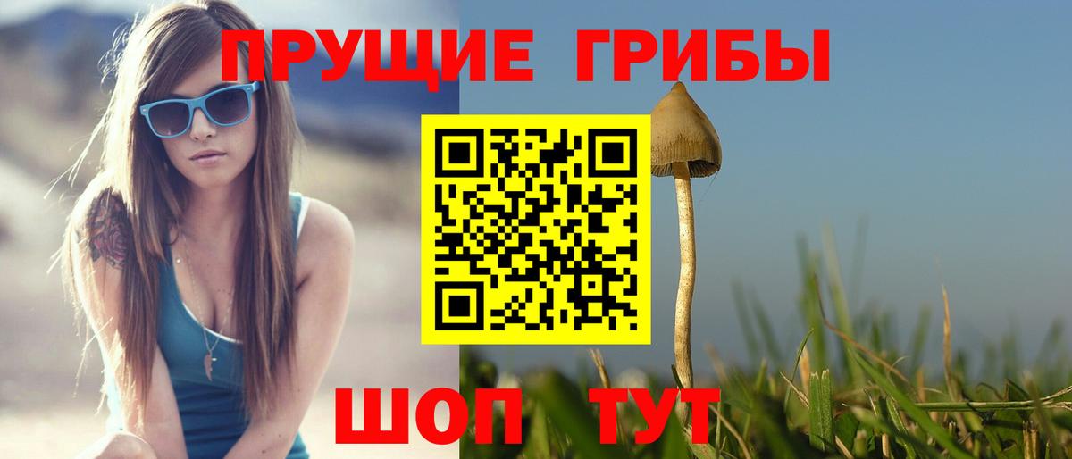 Псилоцибиновые грибы Magic Shrooms Прохладный